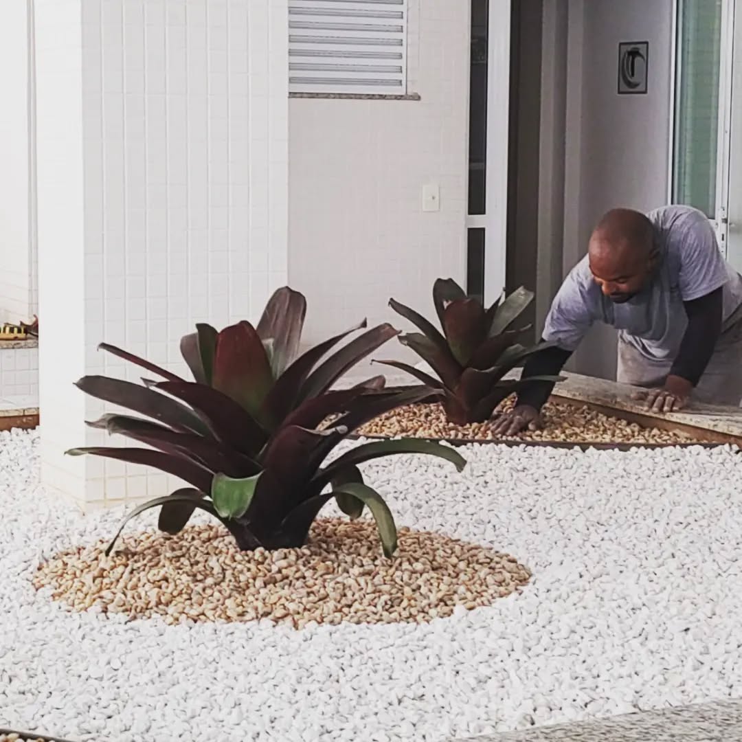 Adubação e Nutrição